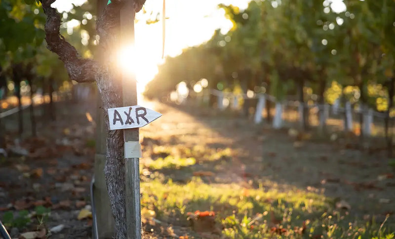 2021 AXR - Red Blend Napa Proprietary