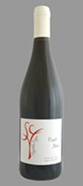 Picture of 2019 Domaine Cogne - VdP du Val de Loire Pinot Noir