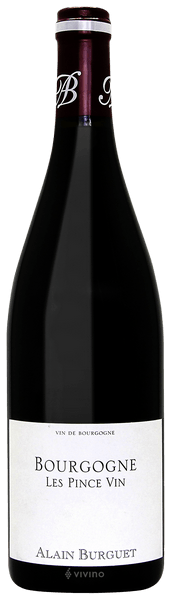 2020 Domaine Burguet - Bourgogne Rouge Les Pince Vin (pre arival)