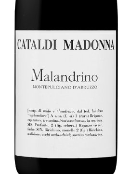 Picture of 2019 Cataldi - Montepulciano d'Abruzzo Madonna Malandrino