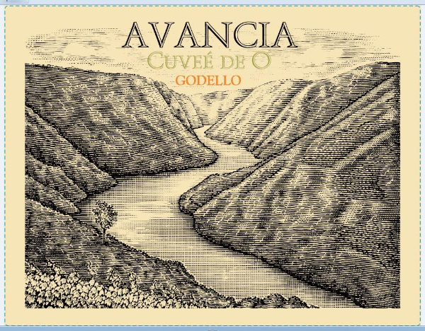 Picture of 2020 Bodegas Avancia - Godello Cuvee de 'O'