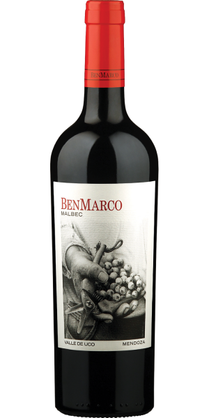 Picture of 2020 BenMarco - Malbec