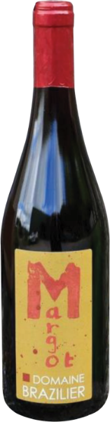 Picture of 2020 Benoit Brazilier - Coteaux Vendomois Margot