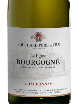 Picture of 2020 Bouchard Pere & Fils - Bourgogne Blanc