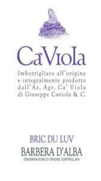 Picture of 2020 Ca' Viola - Barbera d'Alba Bric du Luv