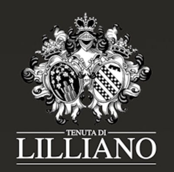 Picture of 2021 Tenuta di Lilliano - Chianti Classico