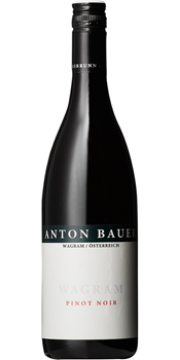 Picture of 2019 Anton Bauer - Pinot Noir  Wagram
