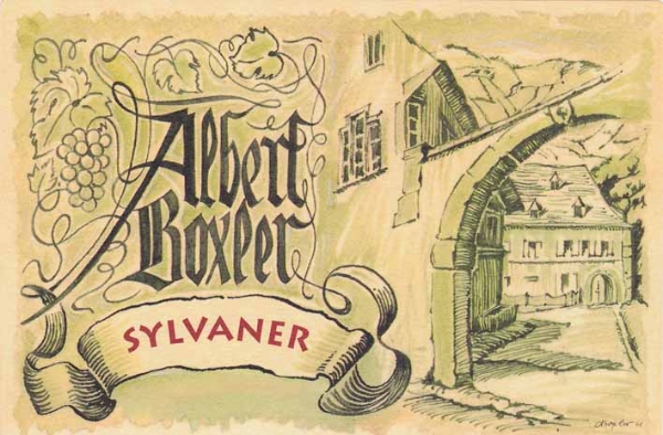 Albert Boxler Sylvaner label