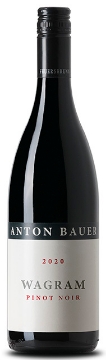 Picture of 2020 Anton Bauer - Pinot Noir  Wagram