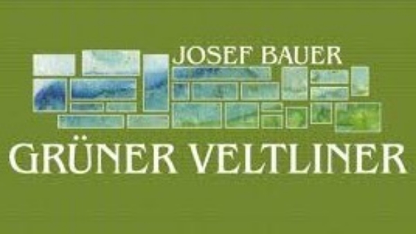 Picture of 2022 Josef Bauer - Gruner Veltliner