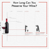 Coravin Wine Preservation System - Model Six Mica