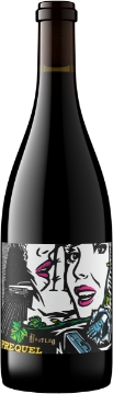 Picture of 2017 Bootleg Wine Works - Red blend Napa Prequel