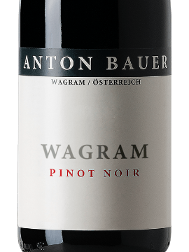 Picture of 2021 Anton Bauer - Pinot Noir  Wagram