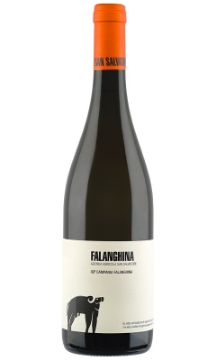 San Salvatore Falanghina bottle