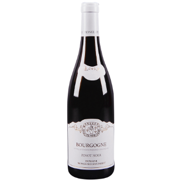 Picture of 2022 Mongeard-Mugneret - Bourgogne Rouge