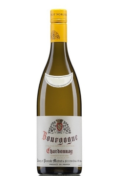 Picture of 2022 Thierry Matrot - Bourgogne Blanc