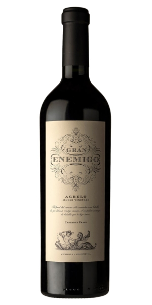 Picture of 2019 El Enemigo - Agrelo Single Vineyard Gran Enemigo (750ml)