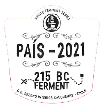 Picture of 2021 Garage Wine Co. - Pais Secano Interior Cauquenes 215 BC Ferment (750ml)