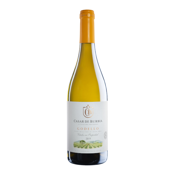 Picture of 2023 Casar de Burbia - Godello (750ml)