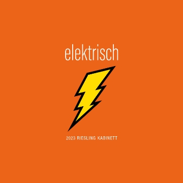 Picture of 2024 Seehof Riesling Kabinett ‘Elektrisch’ (750ml)