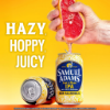 Sam Adams Just the Haze Hazy Juicy Non-Alcoholic IPA 6pk
